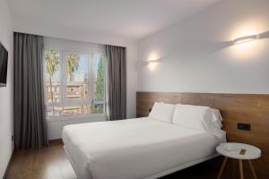 Apartaments SB Corona Tortosa