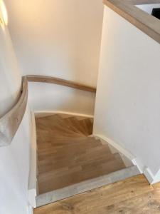 Sturmmöwe, Haus an den Salzwiesen, Baltrum