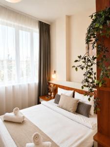 Dezudava Family Hotel