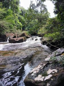 Cococreek Kohkood