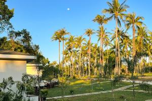 Cococreek Kohkood