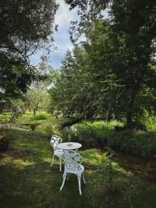 Forest Chalet