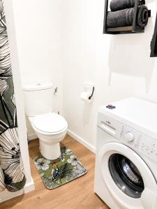 Jungle Suite - Draguignan