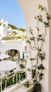 White Suite Capri