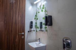Anika Homes Nature-Themed Studio in Pune