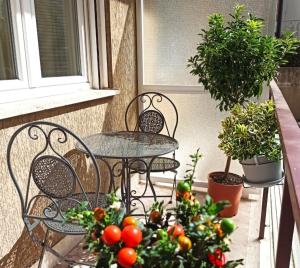Have a nice stay in Rome