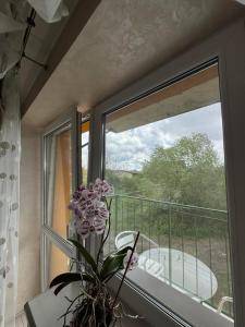 Hotel DALIM