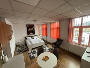 Panorama Studio Sighisoara