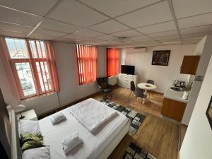 Panorama Studio Sighisoara