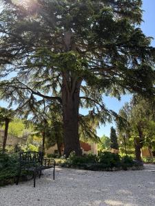 Villa Olivi