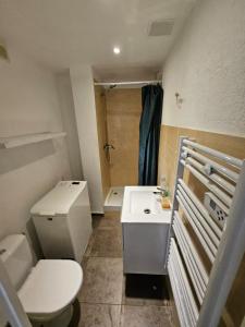 Studio with sleeping area in central Cannes