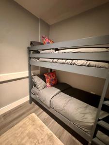 Waterfront Loft SA1- Popular Swansea Marina