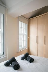 Westminster apartments with kitchen and separate bathroom near Big Ben