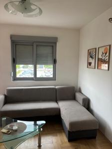Apartman Stari aerodrom 2