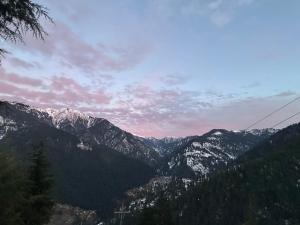 The Woodnest Tandi