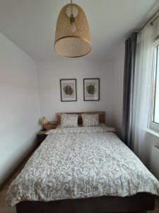 Apartament z darmowym parkingiem podziemnym