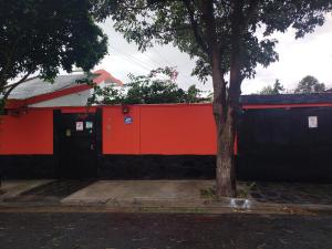 Bruna Zona Alta