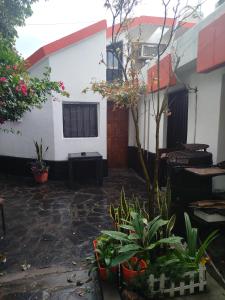 Bruna Zona Alta