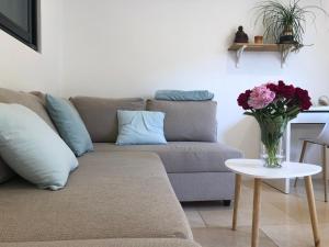 T2 cosy tout équipé avec terrasse plancha