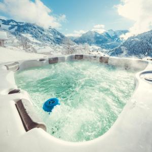 Chalet Familial Le Whymper 5 étoiles SPA Sauna Chatel
