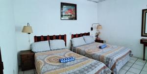 Apartamentos luigi