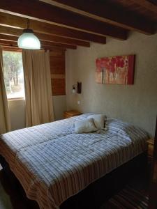 CABAÑAS ALMA SERENA