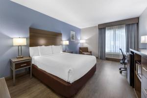 Best Western Fort Lauderdale Airport Cruise Port