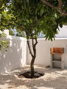 O Posto da Oliveira - spacious luxury villa