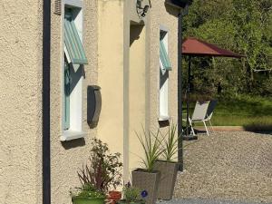 Cottage 493 - Clifden