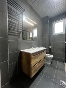 Spacious Luxury Apt Urban Relaxation Skopje