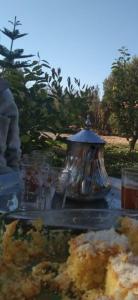 Authentic Moroccan Family Experience with Overnight Stay, Cooking & painting Workshop