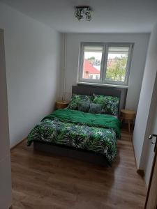 Apartament z widokiem na Zamek