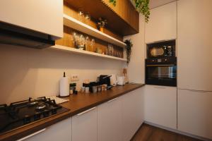 Bucovina Forest Apartment
