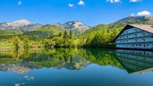 Solea Apartment - Gorenjska base near Bled, Ljubljana - airport 20 min