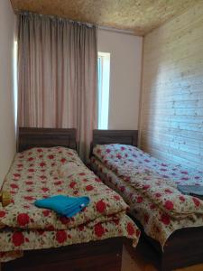 Bezengi guesthouse and Cafe Kala