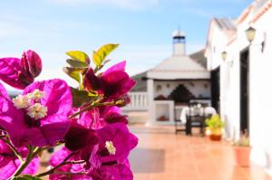 Clara Suites Lanzarote - MacaronesiaHomes