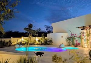 Peaceful Baja Retreat with Pool and Rooftop Views