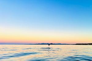 10 Minute Walk to Pickleball and the Sea of Cortez