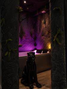 La Grotte Interdite - Love Room - Champagne offert