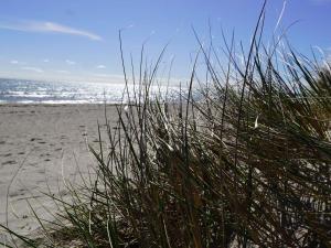 Baltic Escape for Large Groups