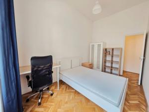spacious apt in downtown