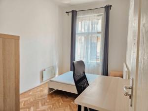 spacious apt in downtown