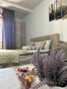 Apartman Temida Lux