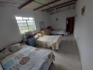 Casa de campo Buena Vista, Ventanas de Tistizoque