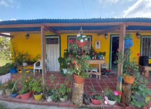Casa de campo Buena Vista, Ventanas de Tistizoque