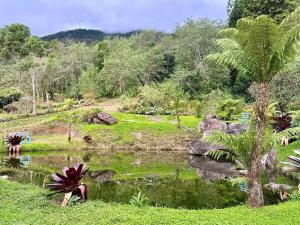 Casa espetacular com piscina e área gourmet com churrasqueira
