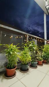 Primavera City, Citta Verde, A Lovely Place 1Bedroom