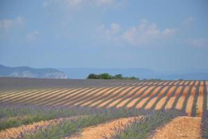 B&B / Chambres d'hotes Les Terrasses de Valensole : photos des chambres