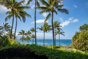 The Resort at Kapalua Bay 3 Free Cars KBM Resorts 3 Multi-Listing Units 9 Bedrooms MON ML-3821