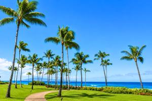 Ocean View 3-Bedroom Villa at The Resort at Kapalua Bay Daily Housekeeping Spa Rental Car Included MON-6302